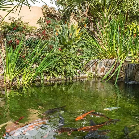 Tetuan 31 Oasis דירה