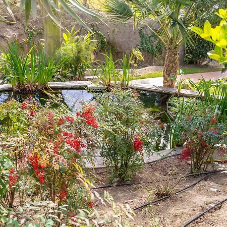 Tetuan 31 Oasis דירה נרחה